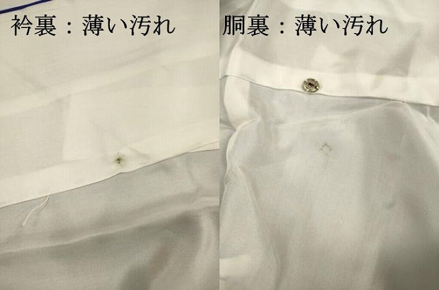 平和屋着物■上質な小紋 舞花文 ロング丈 正絹 逸品 DABJ2796ya