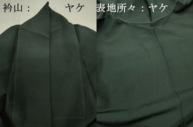 平和屋着物■色留訪問着 花菱文 澤井豊泉 暈し染め 金彩 正絹 逸品 DABJ2999ya