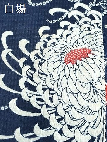 平和屋着物*夏物 浴衣 女の子 子供 乱菊 舞梅文 綿 DABJ3175ea