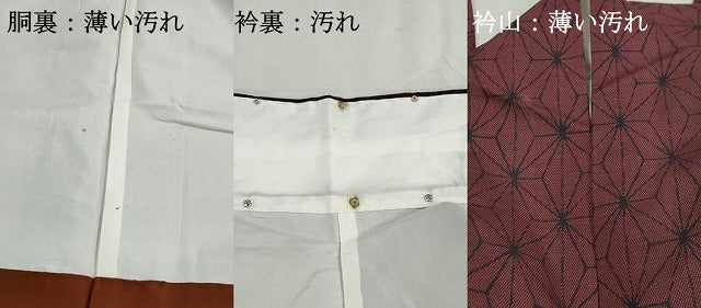 平和屋着物■上質な紬 麻の葉文 正絹 逸品 DABJ5181qa