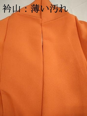 平和屋着物■上質な色無地 照柿色 正絹 逸品 DABJ5264qa