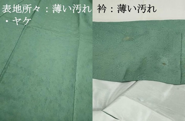 平和屋着物■上質な色無地 茶の湯染 利休彩夢 草花地紋 若竹色 正絹 逸品 DABJ5351qa
