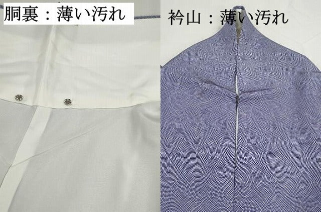 平和屋着物■江戸小紋 鮫小紋柄 正絹 逸品 DABJ5394qa