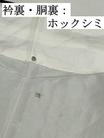 平和屋着物■本場大島紬 エ霞鴛鴦文 正絹 逸品 未使用 DABJ5430qa