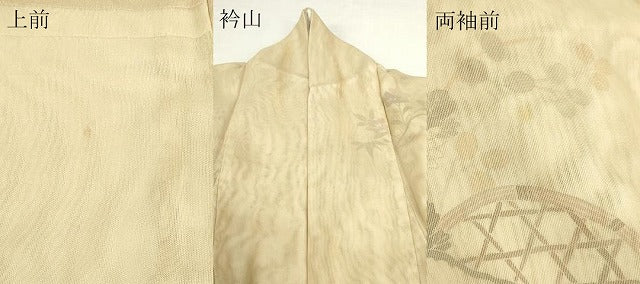 平和屋着物▽訪問着 無双 紗×紗 紗袷 風景草花文 正絹 逸品 DABJ6021sf