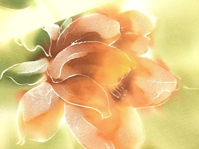 平和屋着物▼上質な小紋 手描き 草花 暈し染 正絹 逸品 DABJ7756fe
