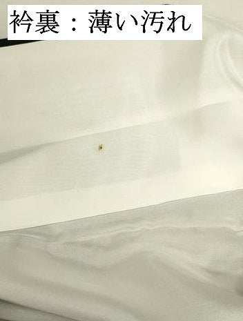 平和屋着物■上質な紬 亀甲花文 正絹 逸品 DABJ9030ya