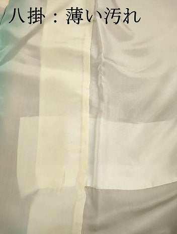 平和屋着物■上質な小紋 枝葉文 正絹 逸品 DABJ9160ya