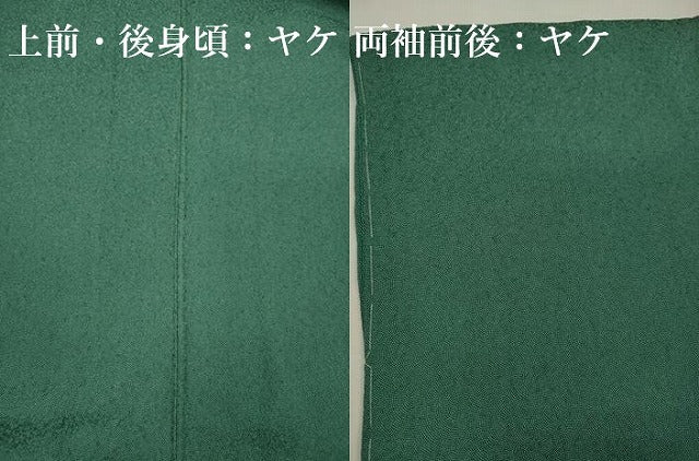 平和屋着物■江戸小紋 作家物 鮫小紋柄 正絹 逸品 DABJ9200ya