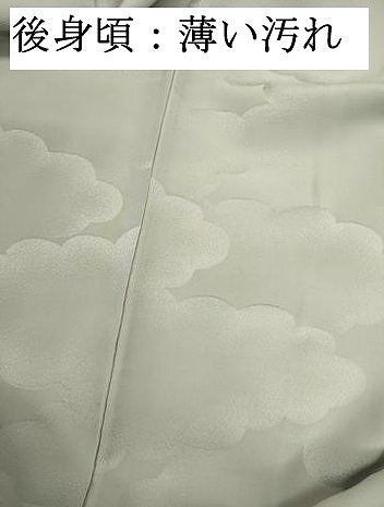 平和屋着物■訪問着 枝花文 正絹 逸品 DABJ9319ya