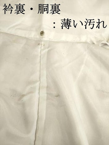 平和屋着物■上質な小紋 舞花文 正絹 逸品 DABJ9510ya