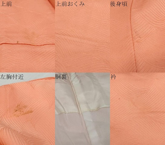 平和屋着物●上質な色無地 抽象地紋 東雲色 正絹 逸品 DABK0319ud