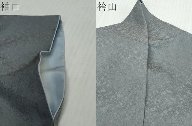 平和屋着物●訪問着 梟 ふくろう 暈し染め 金銀彩 正絹 逸品 DABK0376ud