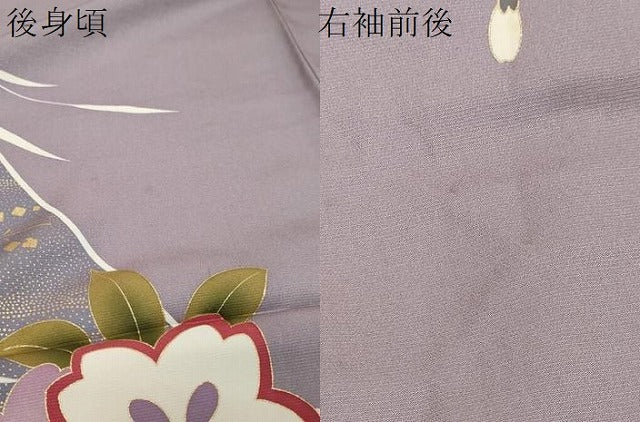 平和屋着物●豪華振袖 片輪車草花文 金彩 正絹 逸品 DABK0431ud