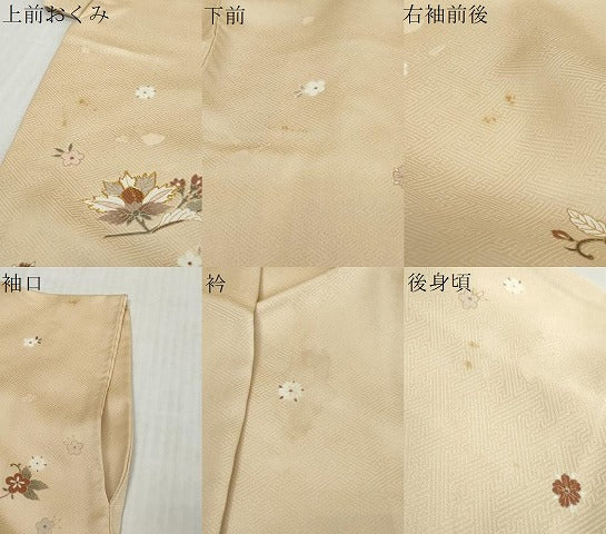 平和屋着物●訪問着 駒刺繍 舞花文 金彩 ロング丈 正絹 逸品 DABK0714ud