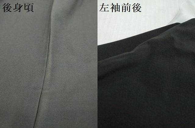 平和屋着物●豪華黒留袖 枝花文 暈し染め 金彩 正絹 逸品 DABK0843ud