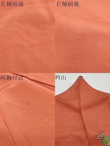 平和屋着物●訪問着 駒刺繍 草花文 正絹 逸品 DABK0980ud