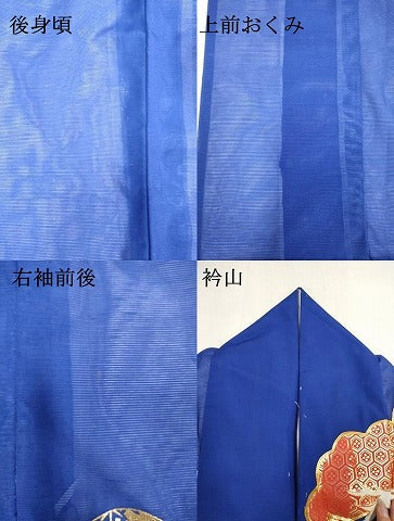 平和屋本店*夏物 お引きずり・お引き摺り・引き振袖 和装 結婚式 舞妓 芸妓 芸者 衣装 絽 駒刺繍 枝松文 金彩 DABK1438cd