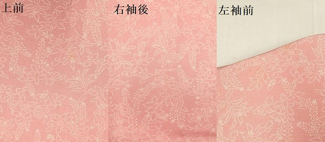 平和屋着物●重要無形文化財 人間国宝 中村勇二郎 江戸小紋 草花文 正絹 逸品 DABK2072op