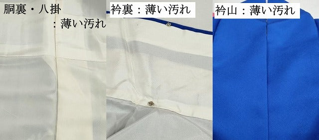 平和屋着物■訪問着 草花文 暈し染め 正絹 逸品 DABK3195qa