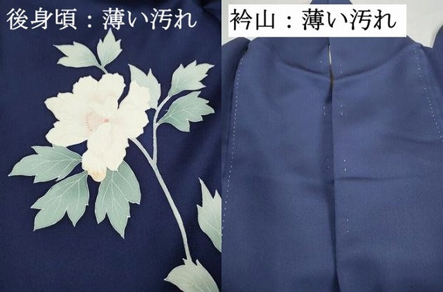 平和屋着物■訪問着 枝花文 暈し染め 正絹 逸品 DABK3225qa