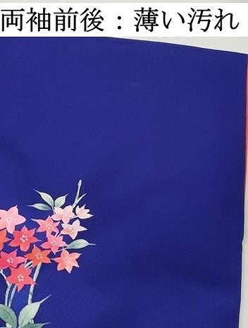 平和屋着物■訪問着 手描き 枝花文 暈し染め 正絹 逸品 DABK3298qa
