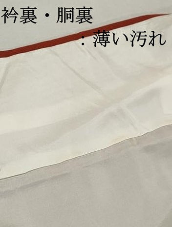 平和屋着物■上質な色無地 赤丹色 正絹 逸品 DABK6086qa