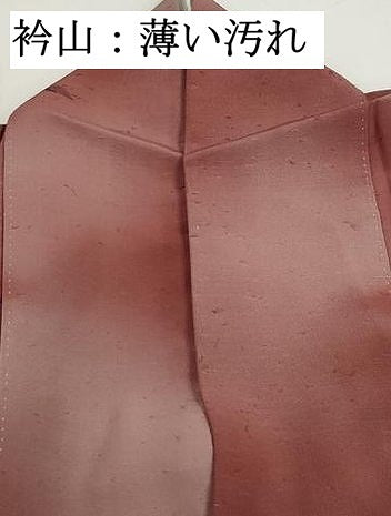 平和屋着物■上質な小紋 型染め 群鶴文 暈し染め お召縮緬 正絹 逸品 DABK6100qa