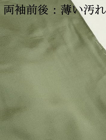 平和屋着物■上質な色無地 紗綾形地紋 柳色 正絹 逸品 DABK6186qa