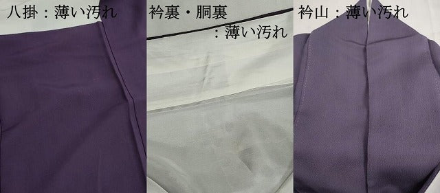 平和屋着物■訪問着 横段花文 金彩 三越扱い 正絹 逸品 DABK6332qa