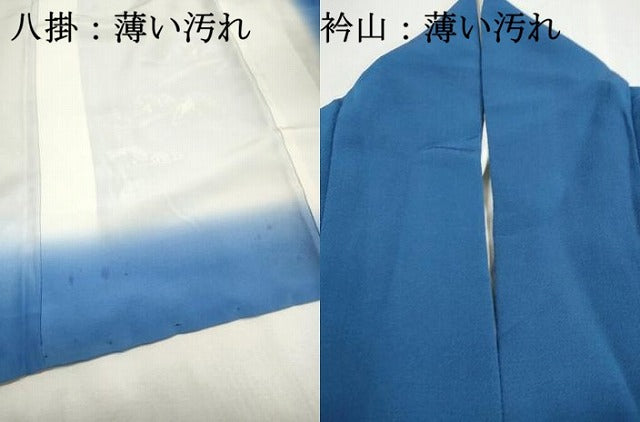 平和屋着物■訪問着 手描き 風景文 鬼しぼ縮緬 正絹 逸品 DABK6348qa