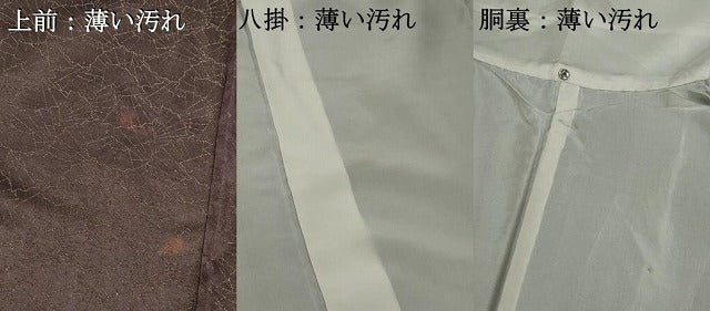 平和屋着物■上質な小紋 寿光織 扇面尽くし 金糸 正絹 逸品 DABK6432qa