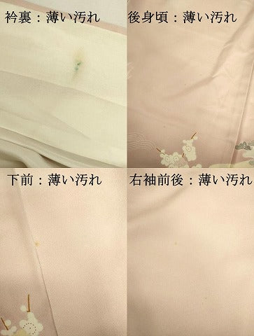 平和屋着物■豪華色留袖 風景花松文 暈し染め 正絹 逸品 DABK6530ya