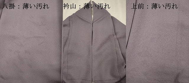 平和屋着物■上質な色無地 霞地紋 半色 正絹 逸品 DABK6727ya