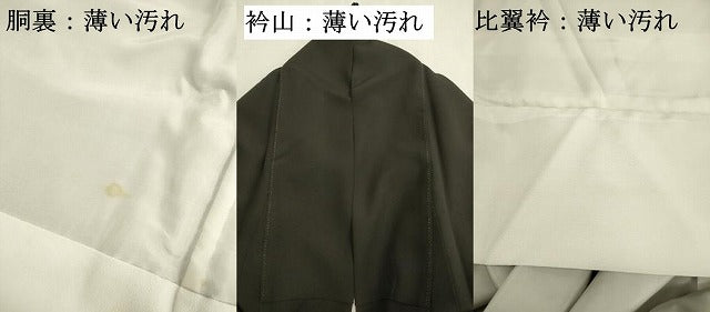 平和屋着物■豪華黒留袖 作家物 孔雀花文 金彩 正絹 逸品 DABK6765ya