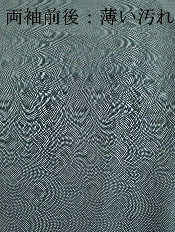 平和屋着物■江戸小紋 鮫小紋柄 正絹 逸品 DABK6803ya