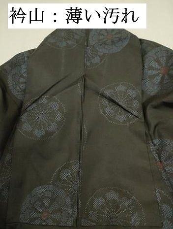 平和屋着物■上質な紬 源氏車文 黒地 正絹 逸品 DABL0651ya