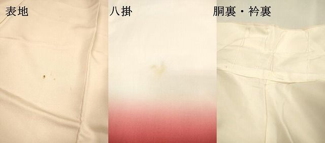 平和屋着物▼訪問着 手描き 薔薇 金彩 正絹 逸品 DABL2118fe