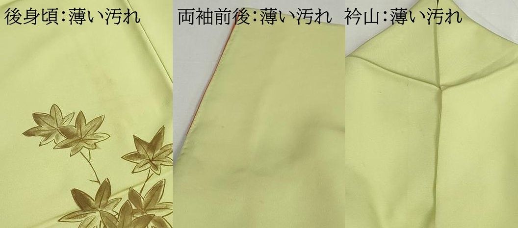 平和屋着物■訪問着 駒刺繍 雪輪枝花文 金彩 正絹 逸品 DABL3014qa