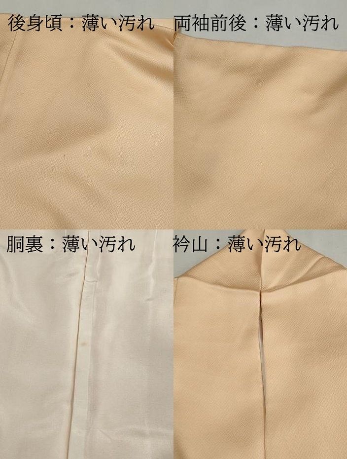 平和屋着物■訪問着 手描き 風景文 正絹 逸品 DABL3016qa