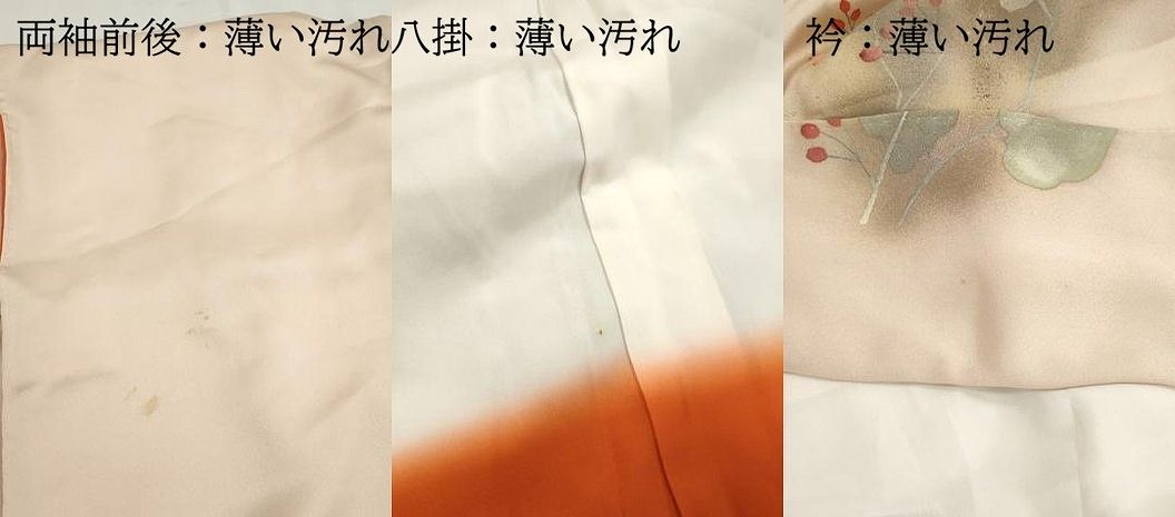 平和屋着物■訪問着 枝葉南天文 暈し染め 金銀彩 正絹 逸品 DABL3051qa