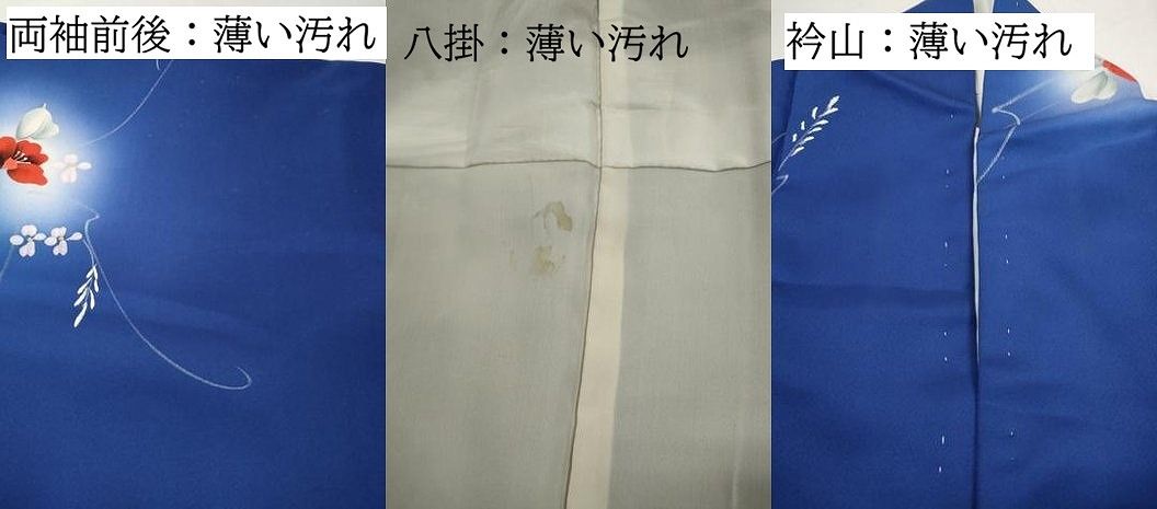 平和屋着物■上質な小紋 手描き 草花文 蛍暈し 正絹 逸品 DABL3126qa