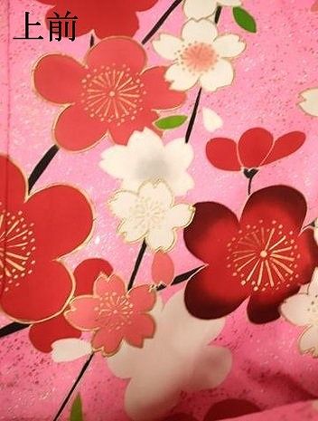 平和屋本店●色打掛 お引きずり 和装 婚礼 結婚式 花嫁 神社挙式 花丸文 金銀彩 逸品 DABM1755cd