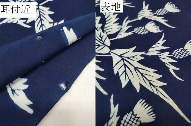 平和屋本店■夏物 竺仙鑑製 浴衣 反物 着尺 薊 アザミ 紺地 証紙付き 高島屋扱い 綿 逸品 未使用 DZAA11294kh5