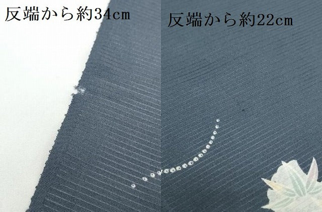 平和屋着物●極上 夏物 小紋 反物 着尺 絽 京友禅 雪輪芝花文 逸品 未使用 DZAA12172kh6
