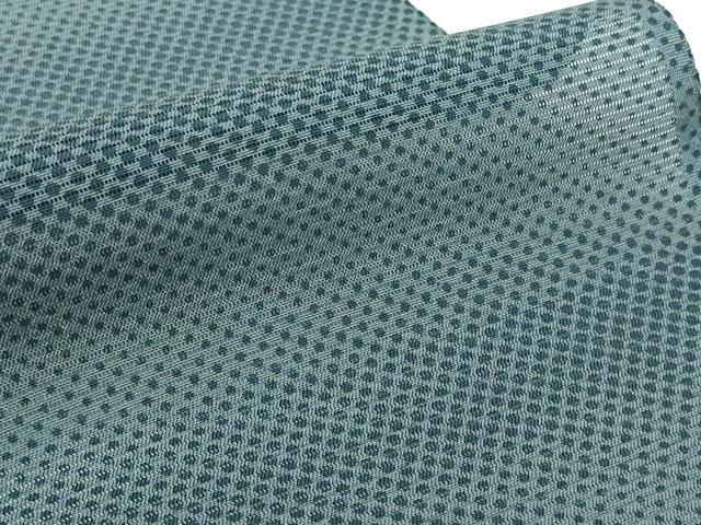 平和屋着物●極上 夏物 小紋 反物 着尺 駒絽 伊と幸 霞文 逸品 未使用 DZAA12175kh6