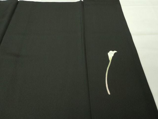 平和屋本店■極上 本加賀友禅作家 南克治 訪問着 水芭蕉 黒地 さが美扱い 逸品 DZAA1754kh4 - 平和屋