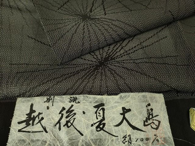 平和屋本店■極上 夏物 越後夏大島物語 伝統工芸士 白川貞夫 十日町白新染織謹製 若松葉 証紙付き 逸品 DZAA1762kh4 - 平和屋
