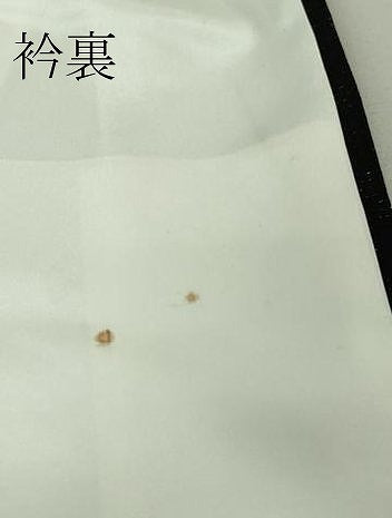 平和屋本店■極上 訪問着 草花文 暈し染め 黒地 金銀彩 銀通し地 逸品 DZAA5760kh5