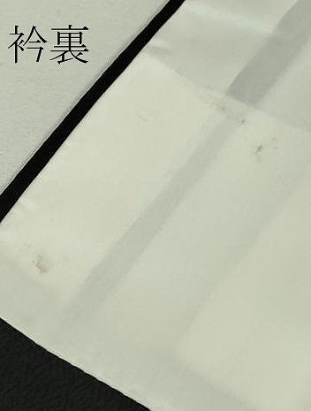 平和屋本店■極上 日本工芸会正会員 大村禎一 訪問着 舞花文 たたき染め 黒地 逸品 DZAA62311kh5